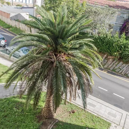 Peces De Madera Appartamento