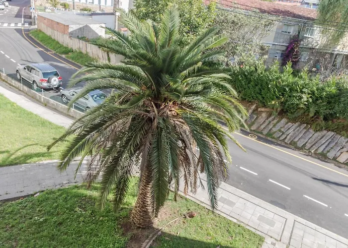 Peces De Madera Apartmán